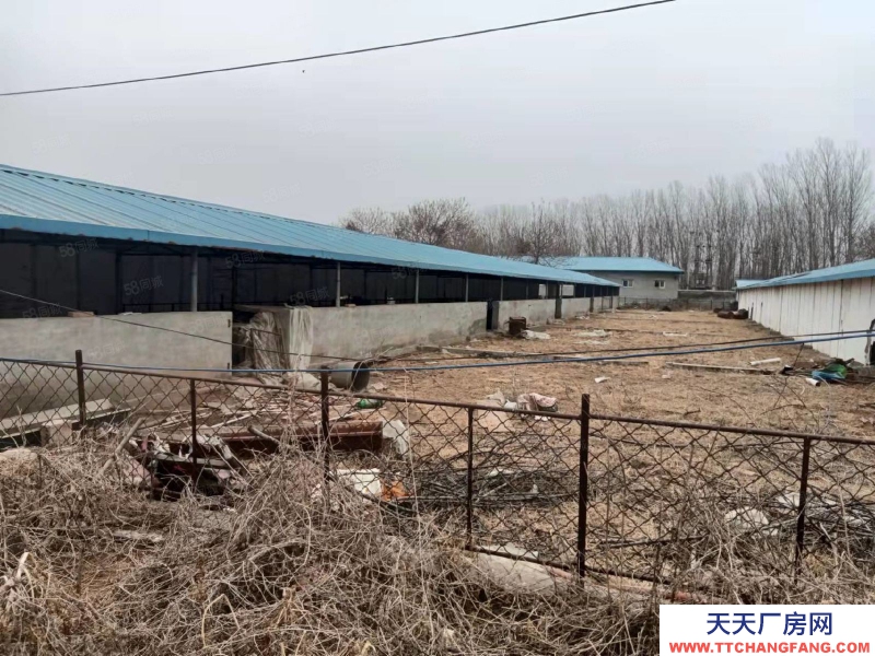 邯郸 广平县 (出租) 都市导航）广平县农牧业厂房场地出租可分租