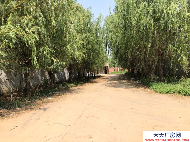 邯郸 广平县 超低价出租邯郸广平15000平米厂房，交通便捷，生产加工方便