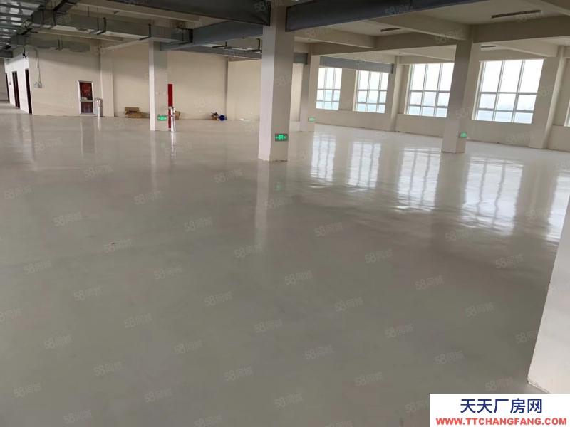 日照东港开发区高标准厂房仓库出租水电齐全
