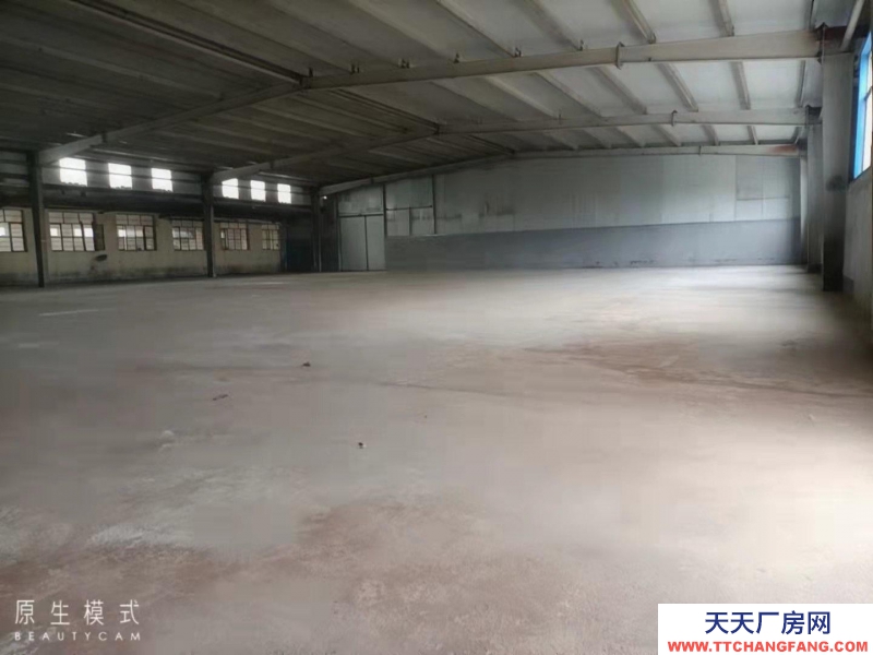 日照东港老204国道厂房出售