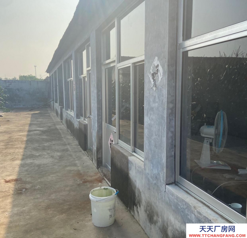 日照东港水电齐全，便宜，面积大