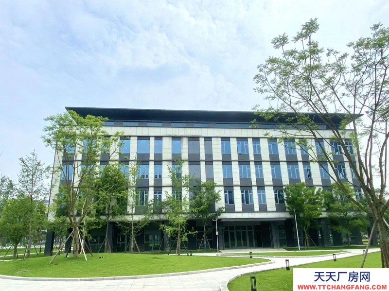 租售天府新区高端产业园，政策优惠