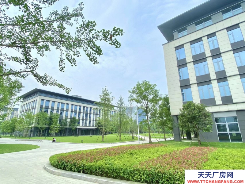 租售天府新区高端产业园，政策优惠