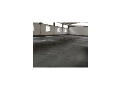 (出租) 给钱就租 城区 1000平米库房400平米办公带图2