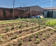 (出租) 个人大院，建设用地，