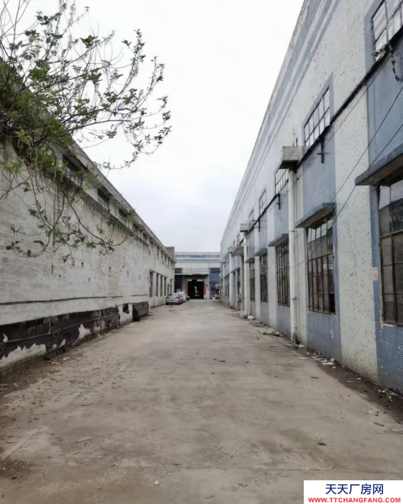 (出租) 佛山顺德多仓可分租 顺德龙江带牛腿独院1220方办宿按需近高速好招工