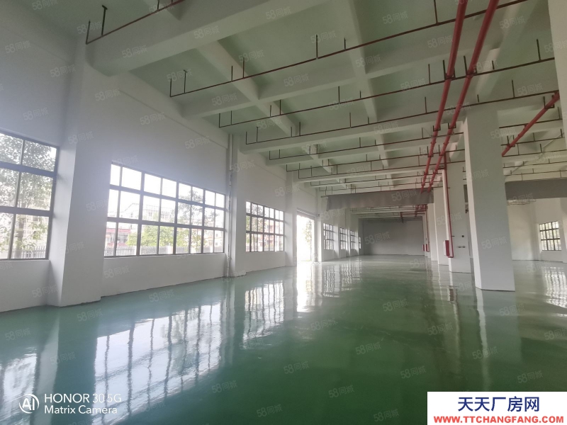 (出租) 佛山顺德上市公司形象！大小可分租 原房东实际面积出租，享受政府扶持！