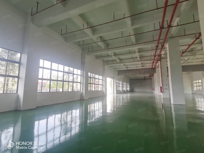 (出租) 佛山顺德上市公司形象！大小可分租 原房东实际面积出租，享受政府扶持！图3