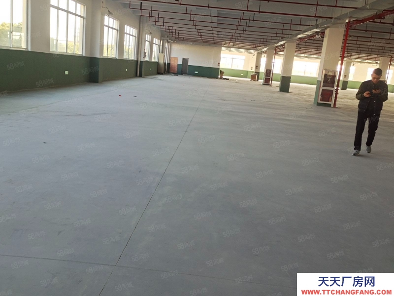 嘉兴海宁(出租) 周王庙底楼4100平可分租