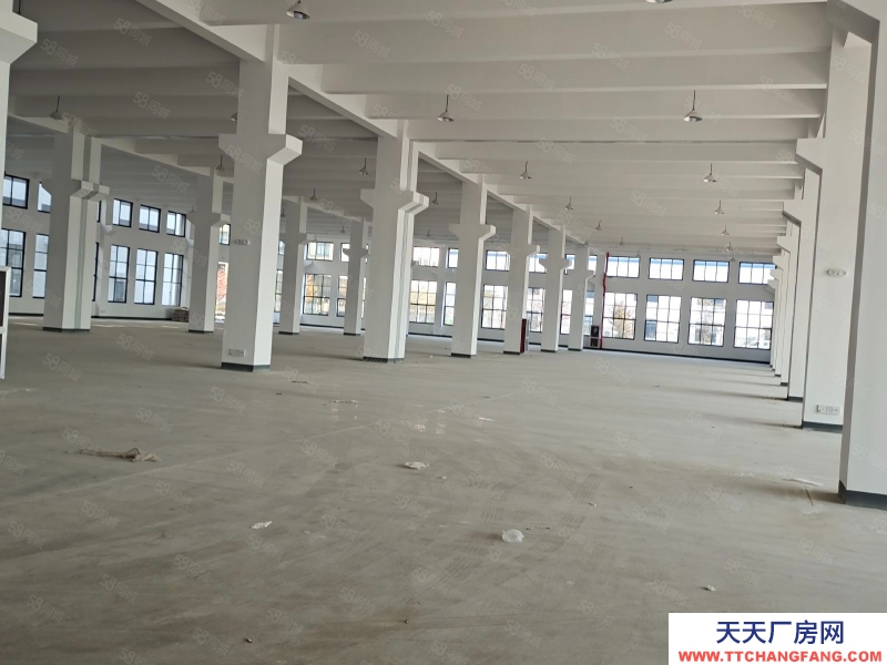 嘉兴海宁(出租) 周王庙底楼4100平可分租