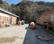 (出租) 教室三排，厂房600平米左右，操场一个