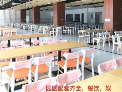(出租) 佛山高明富湾工业区滴水11米全新厂房招租3万方带红本图1