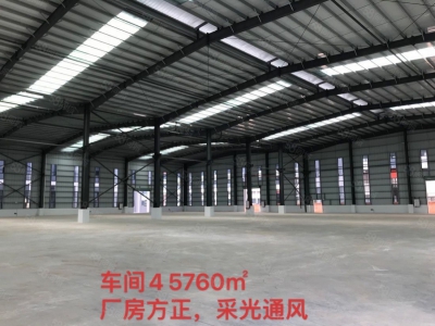 (出租) 佛山高明富湾工业区滴水11米全新厂房招租3万方带红本图2
