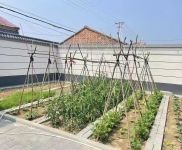 (出租) 延庆 康庄镇 大营村 独院 全新装修