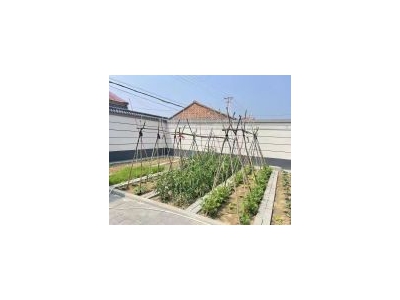 (出租) 延庆 康庄镇 大营村 独院 全新装修图1