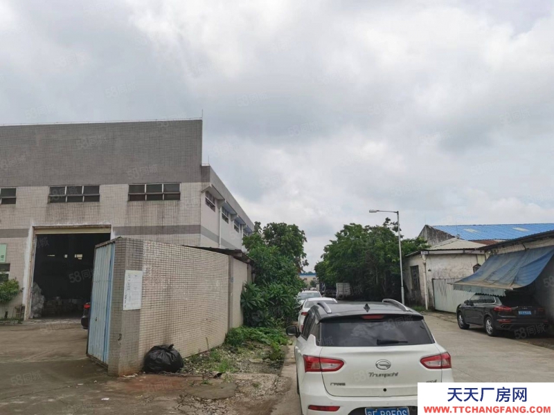 (出租) 佛山高明区小面积带牛腿单一层可分租做五金家具机械门窗物流电子铝材