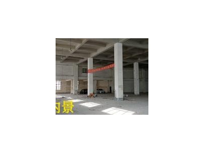 (出租) [出租]高新区狮子岭一楼标准厂房（带免费庭院）/业主直租图1