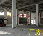 (出租) [出租]高新区狮子岭一楼标准厂房（带免费庭院）/业主直租