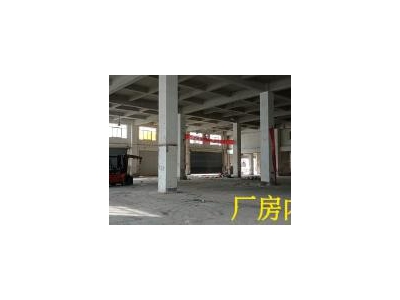 (出租) [出租]高新区狮子岭一楼标准厂房（带免费庭院）/业主直租图4