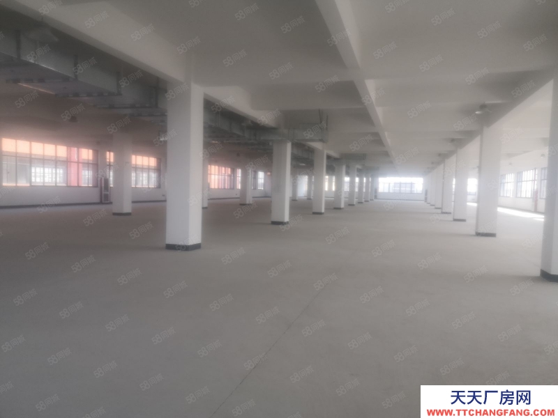 嘉兴海宁(出售) 出售海宁长安东西大道旁，10亩土地7700方标准厂房