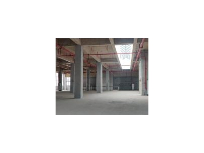 (出租) 秀英 南海大道 大型物流园招租 标准仓库 有消防喷淋图1