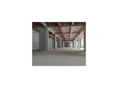 (出租) 秀英 南海大道 大型物流园招租 标准仓库 有消防喷淋图4