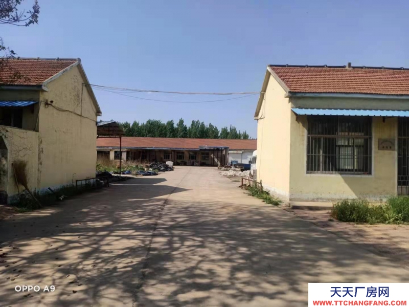 东营广饶有恒温冷库、清洗和包装车间，配套设施非常完善。