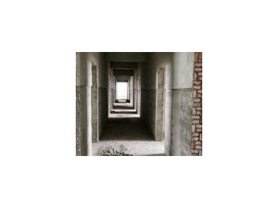 (出租) 江东新区 1500平独栋 临街铺面适合酒店工程检测 已装修图4