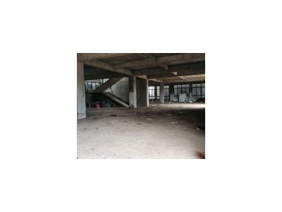 (出租) 江东新区 1500平独栋 临街铺面适合酒店工程检测 已装修图3