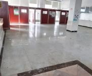 (出租) 位于新埠岛海口水产品综合批发市场内