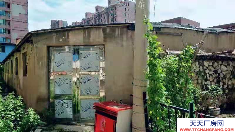 (出租)辽阳白塔东文化小学北侧 仓库 140平米