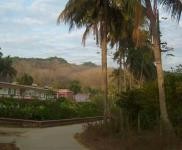(出租) 公司小楼大院环境优雅居住商用均可。