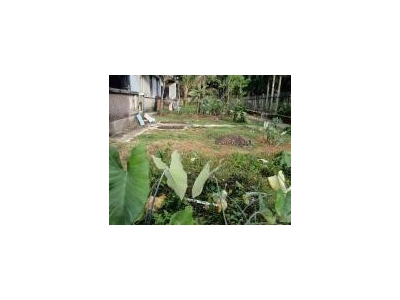 (出租) 公司小楼大院环境优雅居住商用均可。图3