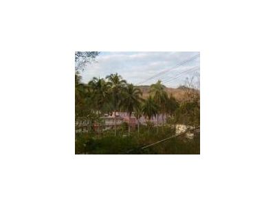 (出租) 公司小楼大院环境优雅居住商用均可。图4