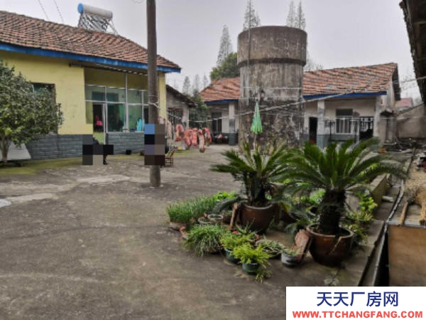 岳阳市岳华容区 厂房出租，适合门面、房产开发、腌制酸豆角、榨菜等