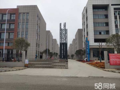 岳阳市岳华容区 出租华容高新技术产业开发区全新标准厂房出租图2