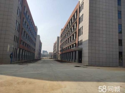 岳阳市岳华容区 出租华容高新技术产业开发区全新标准厂房出租图3