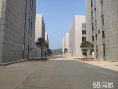 岳阳市岳华容区 可租可售｜华容县政府建设的四层标准化厂房图1