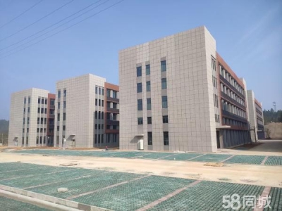 岳阳市岳华容区 可租可售｜华容县政府建设的四层标准化厂房图2