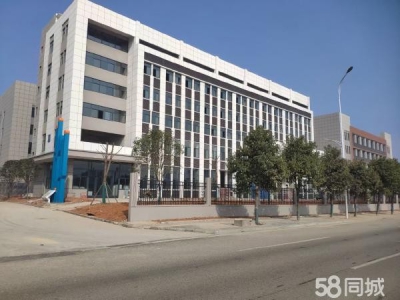岳阳市岳华容区 可租可售｜华容县政府建设的四层标准化厂房图4