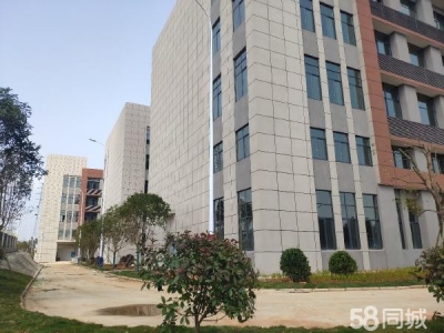 岳阳市岳华容区 华容高新区新建标准厂房出售（可租可售）图1