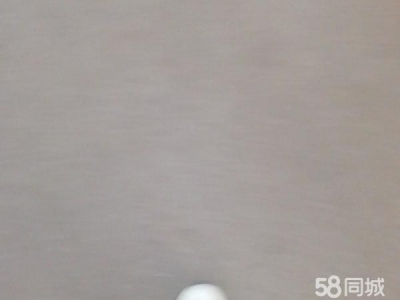岳阳市岳华容区 两间门面，共110平方。图2