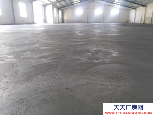 菏泽牡丹临国花大道，水，动力电，可过大车！宽带，紧临国花大道