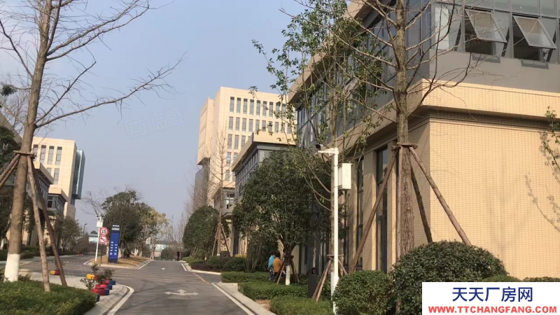 高新西区华为、京东方、富士康旁的电子类园区600-24000㎡可选
