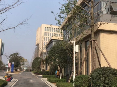 高新西区华为、京东方、富士康旁的电子类园区600-24000㎡可选图3