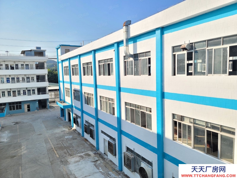 (出租) 深圳福永全新装修1900平方仓库厂房出租300平方起租低价原房东