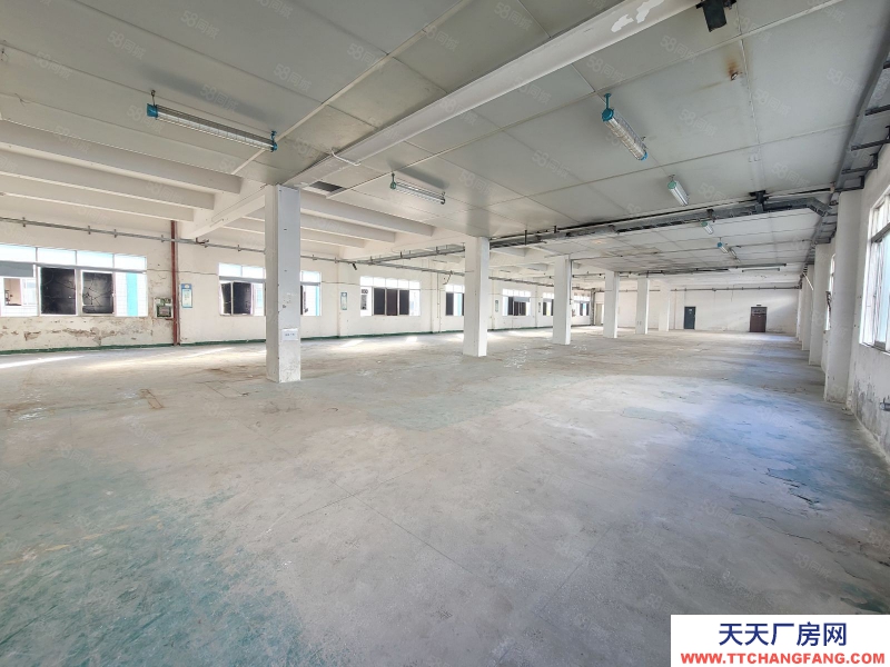 (出租) 深圳福永全新装修1900平方仓库厂房出租300平方起租低价原房东