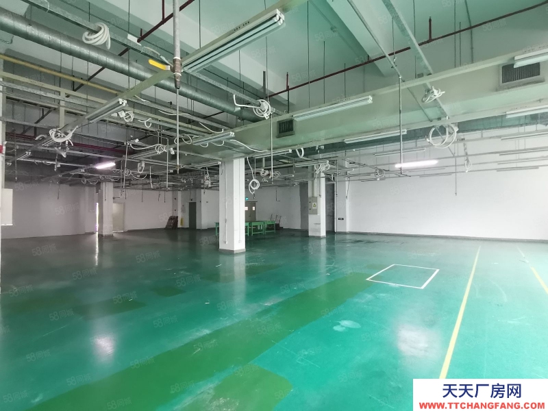 (出租) 深圳100平起租南山西丽阳光工业区1000平标准厂房出租仓库招租