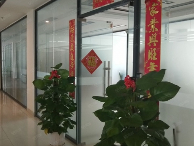 (出租) 深圳西丽留仙洞工业园厂房研发39元出租 适合贸易办公加工生产等图2