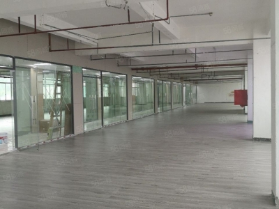 (出租) 深圳西丽留仙洞工业园厂房研发39元出租 适合贸易办公加工生产等图4